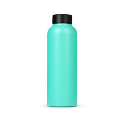 T2 Stainless Steel Flask Aqua CG Tea T2 Stainless Steel Flask Aqua